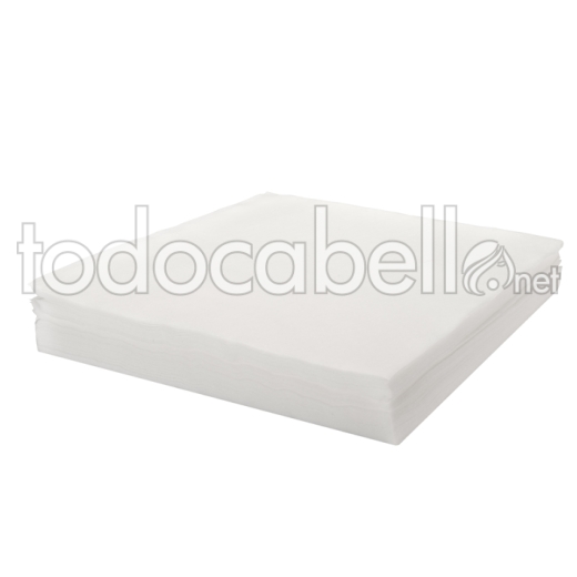 SACCO 100 ASCIUGAMANI 30X37 S/ASSORB.SPUNLACE