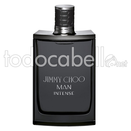 Jimmy Choo Man Intense Spray 100ml Edt