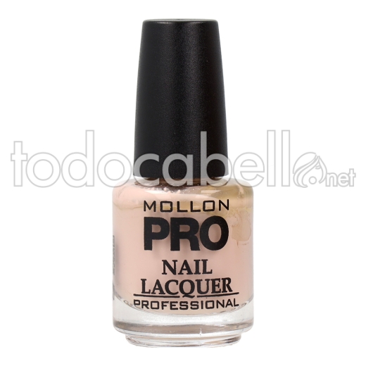 Mollon Pro Hardening Nail Lacquer 15 Ml 310