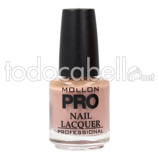 Mollon Pro Hardening Nail Lacquer 15 Ml 311