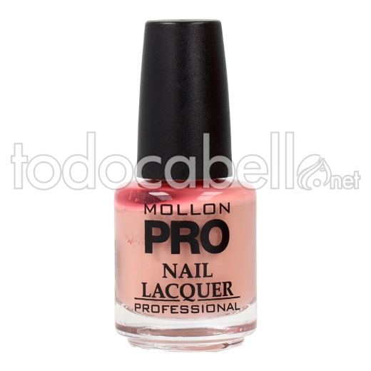 Mollon Pro Hardening Nail Lacquer 15 Ml 315