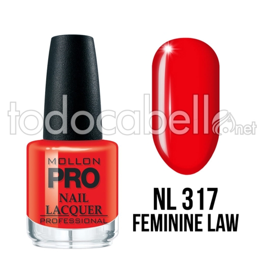 Mollon Pro Hardening Nail Lacquer Color 317 15ml