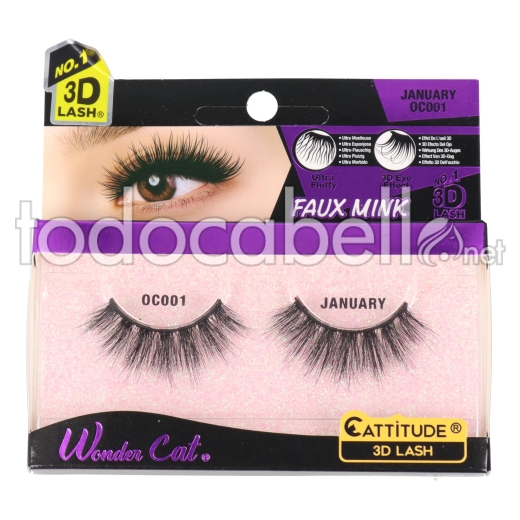 Ebin New York Wonder Cat Lash January