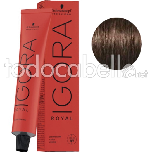 Schwarzkopf Tinte Igora Royal Castaño Oscuro Marrón Dorado