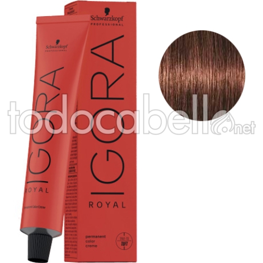 Schwarzkopf Tinte Igora Royal Castaño Claro Marrón