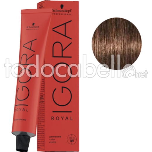 Schwarzkopf Tinte Igora Royal Castaño Claro Marrón Dorado