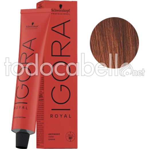 Schwarzkopf Tinte Igora Royal Castaño Claro Cobrizo