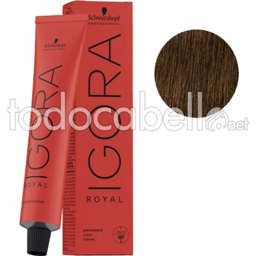 Tint Schwarzkopf Igora Reale 6-46 chiari cioccolato 60ml Beige