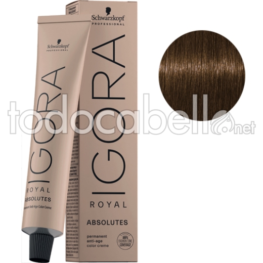 Schwarzkopf Tint Igora Absolutes 7-140 Medium Blonde Ash Natural Beige 60ml