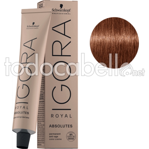 Schwarzkopf Tinte Igora Abolutes Age Blend Rubio Medio Dorado Chocolate