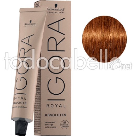 Schwarzkopf Tinte Igora Royal Absolutes Rubio Medio Cobrizo Natural